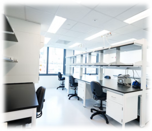 biolabs_chinh_fade